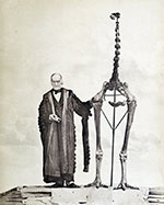image of owen-moa