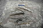 image of geologists-footprints